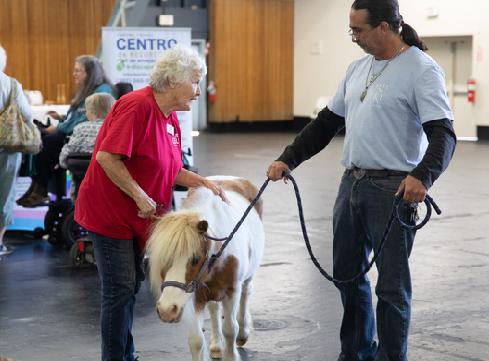 Photo of an older woman speaking to a male handler with a mininature horse service animal.